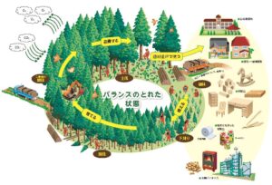 木材利用の促進・森林サイクル